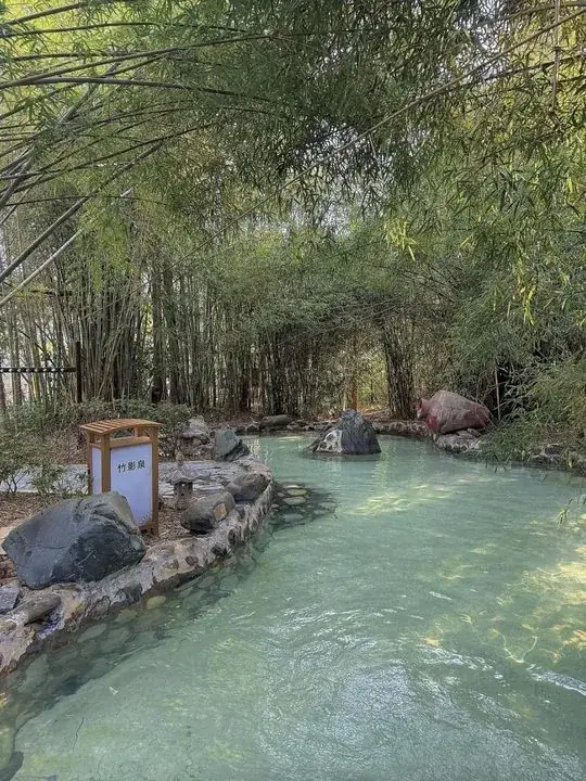 竹林环绕的浅蓝色温泉池,池边灯箱标有竹影泉